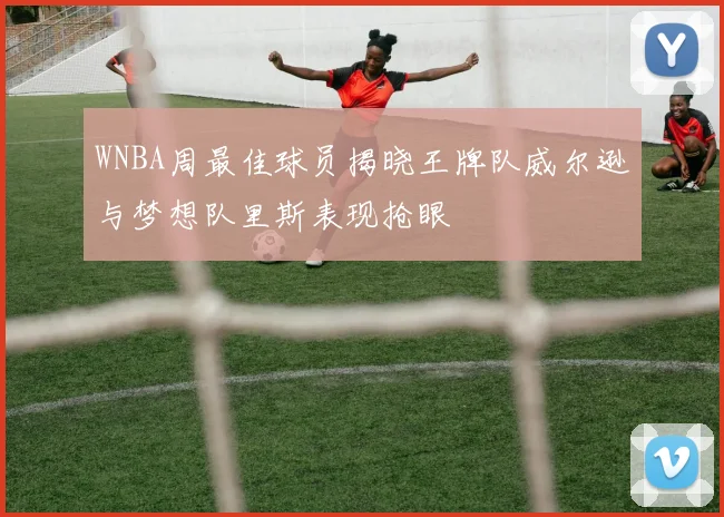 WNBA周最佳球员揭晓王牌队威尔逊与梦想队里斯表现抢眼